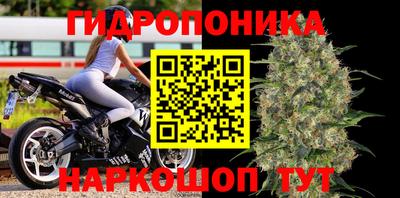 молекула духа Изобильный