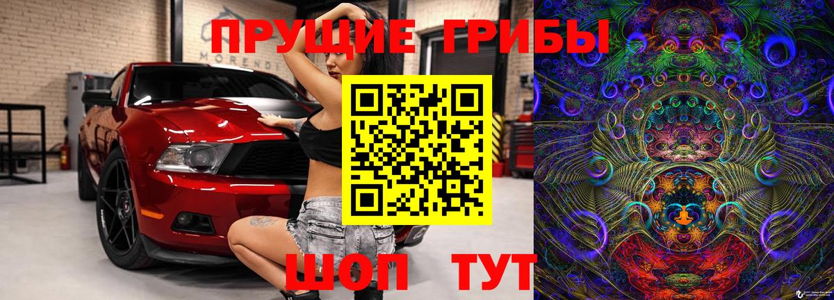 где можно купить наркотик  Галлюциногенные грибы Psilocybe  Вход с VPN  Кинель 