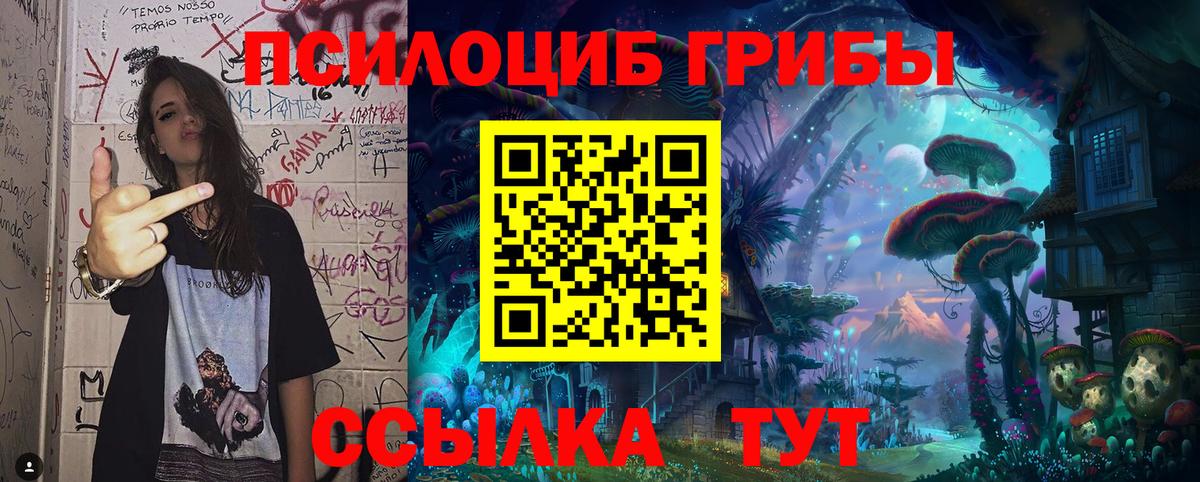Псилоцибиновые грибы прущие грибы Кинель